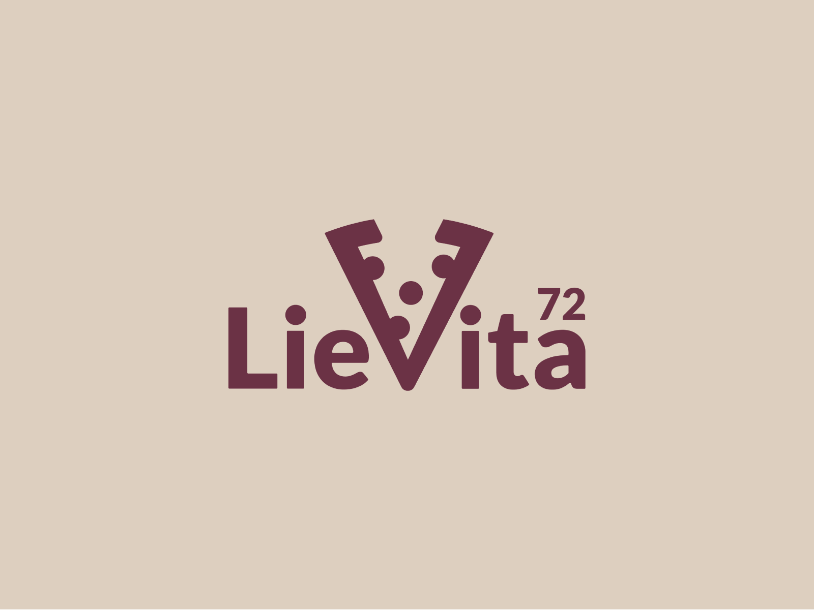 Portfolio Lievita72 02