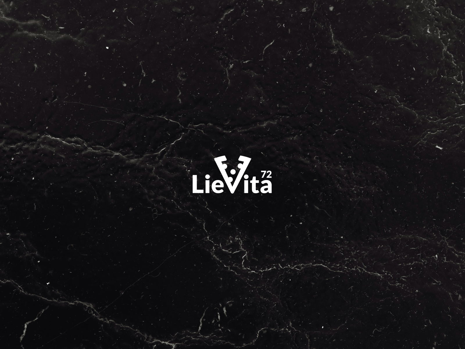 Portfolio Lievita72 09